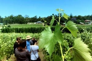 From Perth: Cider, Wine & Whiskey Tour With Lunch & Tastings
