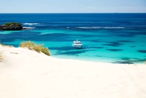From Perth: Full-Day Rottnest Island Tour by Seaplane