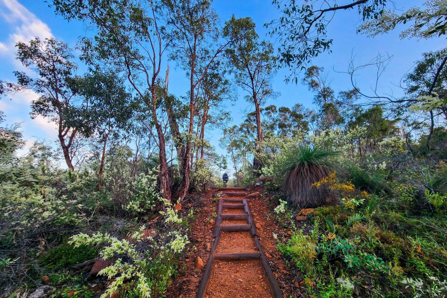 Perth: John Forrest Wasserfälle, Wandoo & Wildblumen