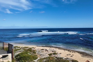 From Perth: Margaret River & Busselton Day Tour