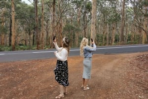 Z Perth: Jednodniowa wycieczka do Margaret River i Busselton