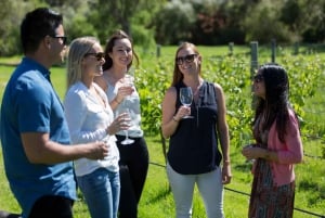 Fra Perth: Margaret River sjøflytur med vinsmaking