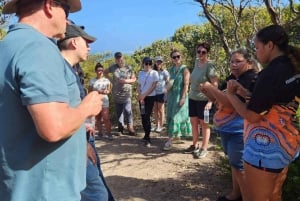 De Perth: Excursão de 6 dias de Margaret River a Esperance