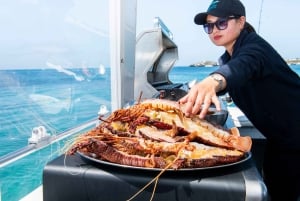Fra Perth eller Fremantle: Rottnest Island Seafood Cruise