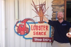 De Perth: Pinnacles Lobster Shack e viagem de 1 dia a Yanchep