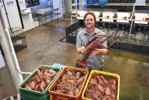 Vanuit Perth: Pinnacles, Lavendelboerderij en Lobster Shack Tour