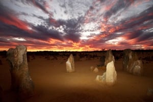Fra Perth: Pinnacles Sunset and Stargazing-tur med middag i solnedgang og stjerneskudd