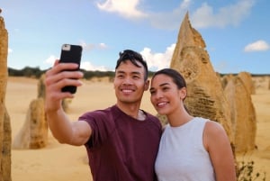 From Perth: Pinnacles Sunset and Stargazing Tour with Dinner