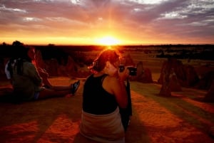 Au départ de Perth : Tour des Pinnacles avec coucher de soleil et observation des étoiles avec dîner
