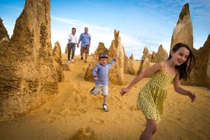 De Perth: Pinnacles Sunset and Stargazing Tour com jantar