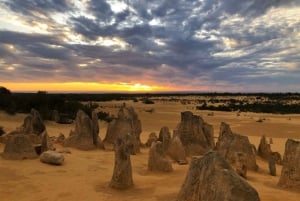 From Perth: Pinnacles Sunset and Stargazing Tour with Dinner