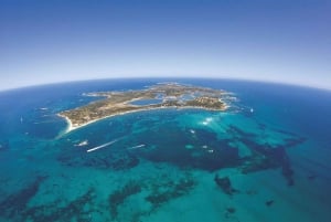 From Perth: Rottnest Island Ferry & Admission