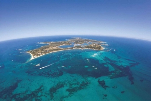 From Perth: Rottnest Island Ferry & Admission