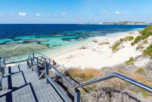 From Perth: Rottnest Island Ferry & Admission