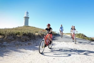 From Perth: Rottnest Island Ferry & Bike Trip