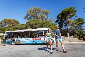 Desde Perth Excursión de un día en ferry y autobús a la Isla Rottnest