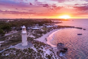 Desde Perth Excursión de un día en ferry y autobús a la Isla Rottnest