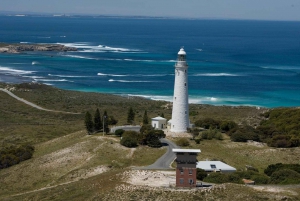 From Perth: Rottnest Island Ferry & Bus Tour