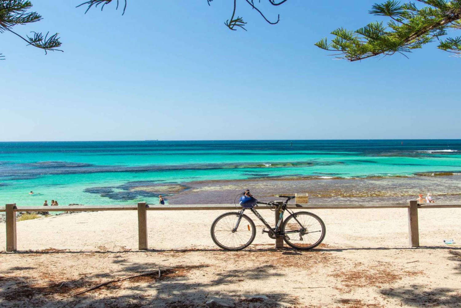 From Perth: Rottnest Island Ferry, Snorkeling, and Bike Hire