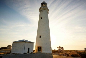 From Perth: Rottnest Island Ferry, Snorkeling, and Bike Hire