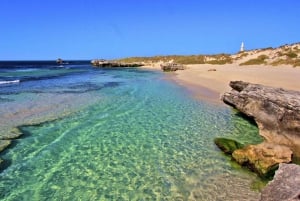 Perth: Snorkel Gear & Bike Rental with Rottnest Island Ferry