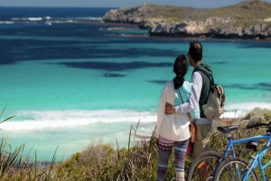 From Perth: Rottnest Island Seaplane, Ferry, & Bike Day Trip