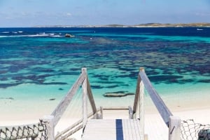 De Perth: SeaLink Rottnest Ferry & Aluguer de bicicletas