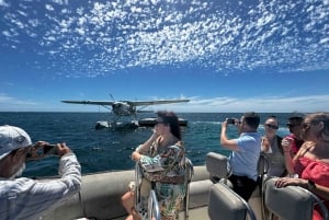 Från Perth: Flyg med sjöflygplan till Rottnest Island med lunch