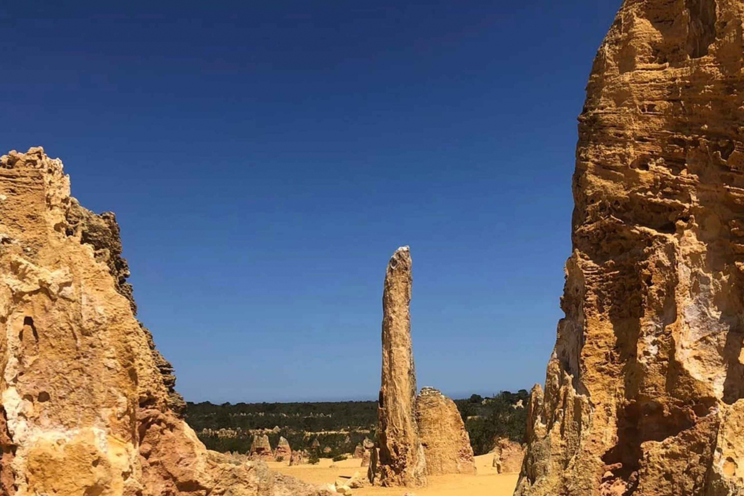 From Perth: The Pinnacles and Nambung National Park Day Trip