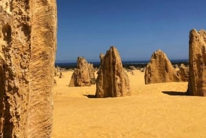 De Perth: Pinnacles Tour, começa cedo, evita multidões e calor