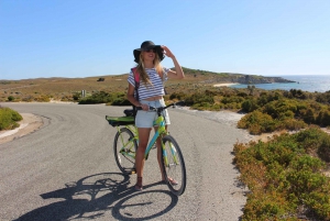 From Perth: Rottnest Island Full-Day Bike and Ferry Trip