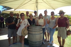 Full-Day Swan Valley Wineries with Lunch and River Cruise