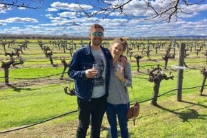 Full-Day Swan Valley Wineries with Lunch and River Cruise