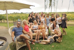 Full-Day Swan Valley Wineries with Lunch and River Cruise