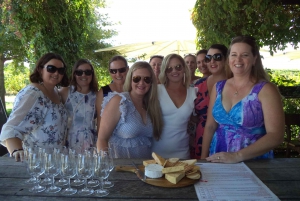 Full-Day Swan Valley Wineries with Lunch and River Cruise