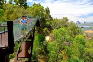 Excursão de meio dia pelos destaques de Perth e Fremantle