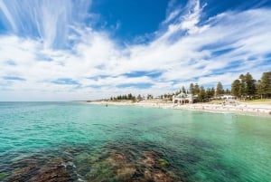 Excursão de meio dia pelos destaques de Perth e Fremantle