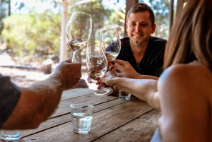 Excursão de vinho de meio dia ao Swan Valley com degustações - de Perth