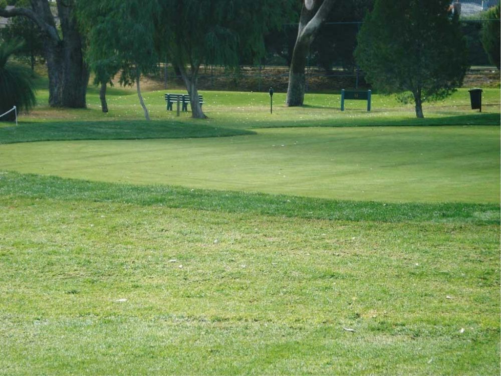 Hamersley Public Golf Course