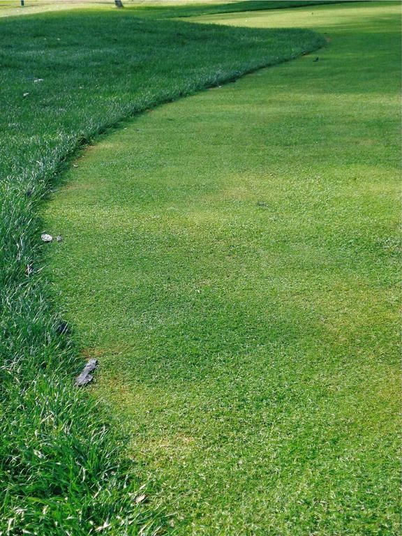 Hamersley Public Golf Course