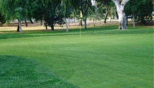 Hamersley Public Golf Course