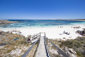 Hillarys Boat Harbour: Rottnest Island Ferry Transfer