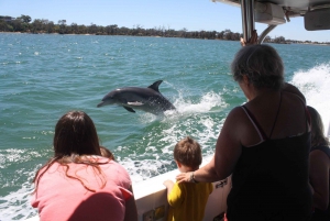 Mandurah: Dolphin and Views Cruise with Optional Lunch