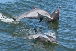 Mandurah: Cruzeiro com almoço no rio Murray