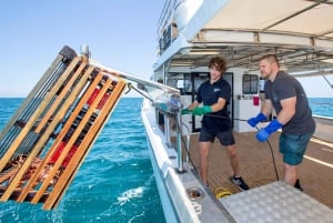 Mandurah: Experiência de marisco selvagem