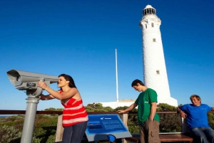 Margaret River and Busselton Jetty: Day Trip from Perth