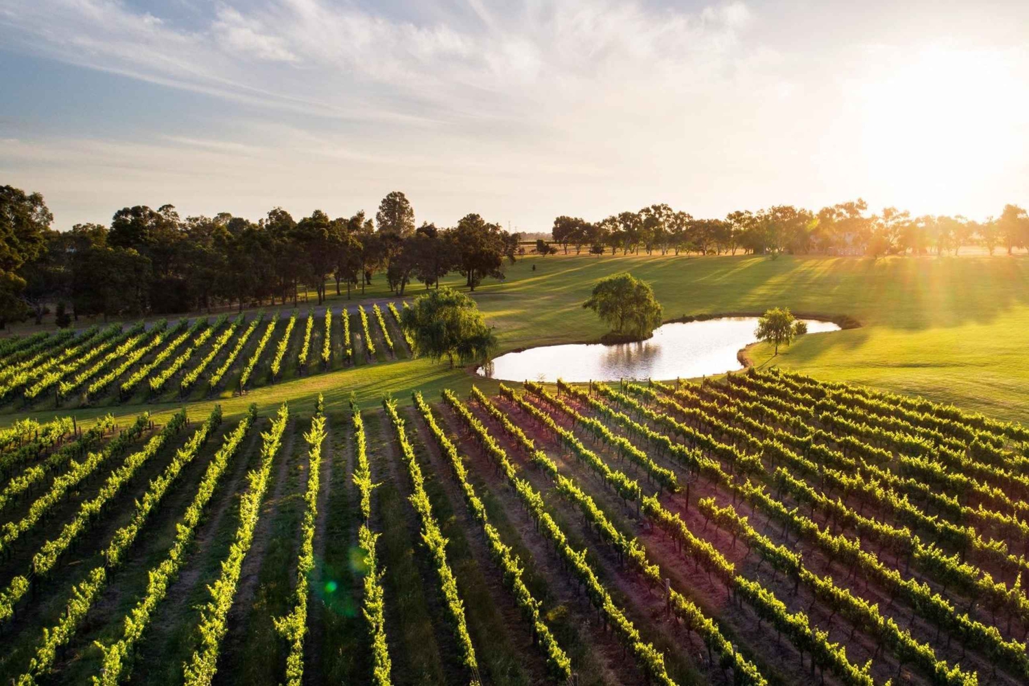 Margaret River, Schokolade, Wein und Küste – Tagestour ab Perth