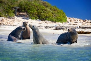 Margaret River Day Tour With Wildlife Cruise & Wine Tasting