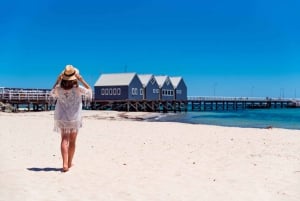 Margaret River Day Tour With Wildlife Cruise & Wine Tasting