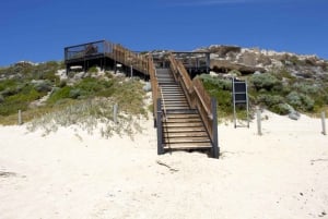 Margaret River Day Tour With Wildlife Cruise & Wine Tasting